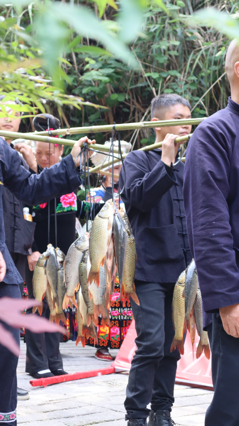 篮球场球员抱球规则_篮球抱球什么意思_篮球抱球犯规