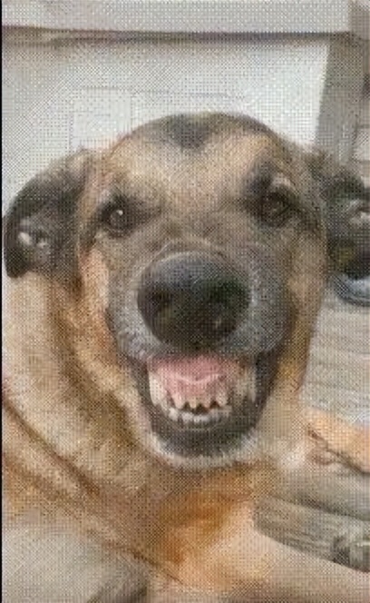 乐事趣事作文_生活趣事怎么写_生活趣事乐