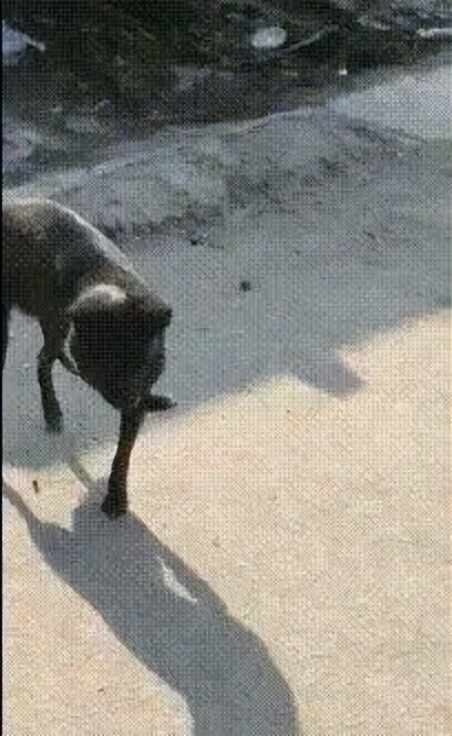 生活趣事乐_生活趣事录作文_生活趣事集
