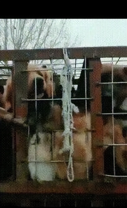 生活趣事录作文_生活趣事乐_生活趣事集