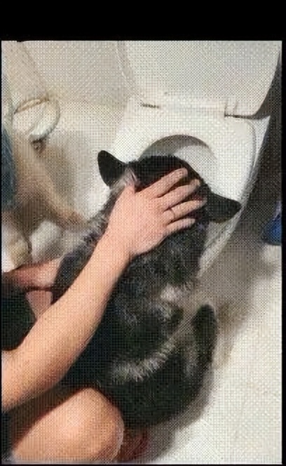 生活趣事录作文_生活趣事乐_生活趣事集