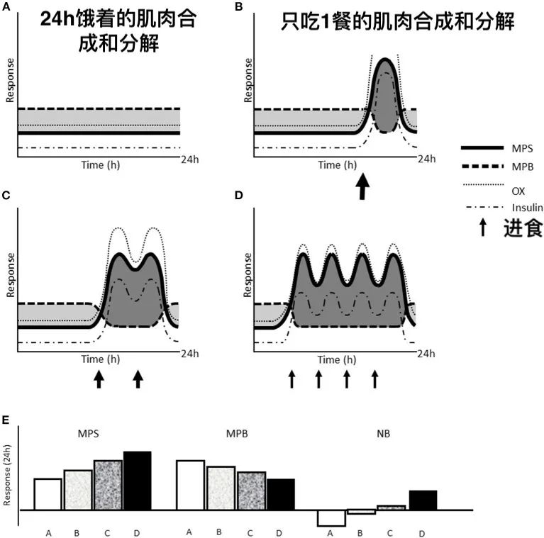 有氧运动 时间间隔_锻炼间隔的休息时间_间隔运动可以减肥吗