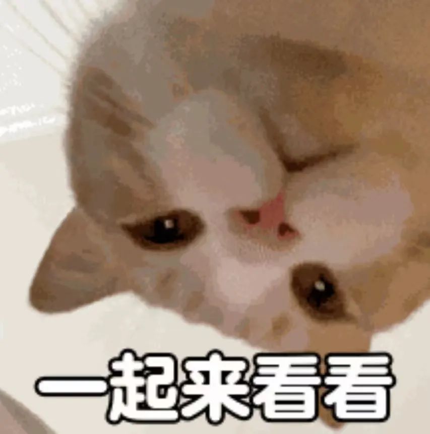 足球考试的规则有哪些内容_足球规则试题及答案_足球规则考试内容有什么