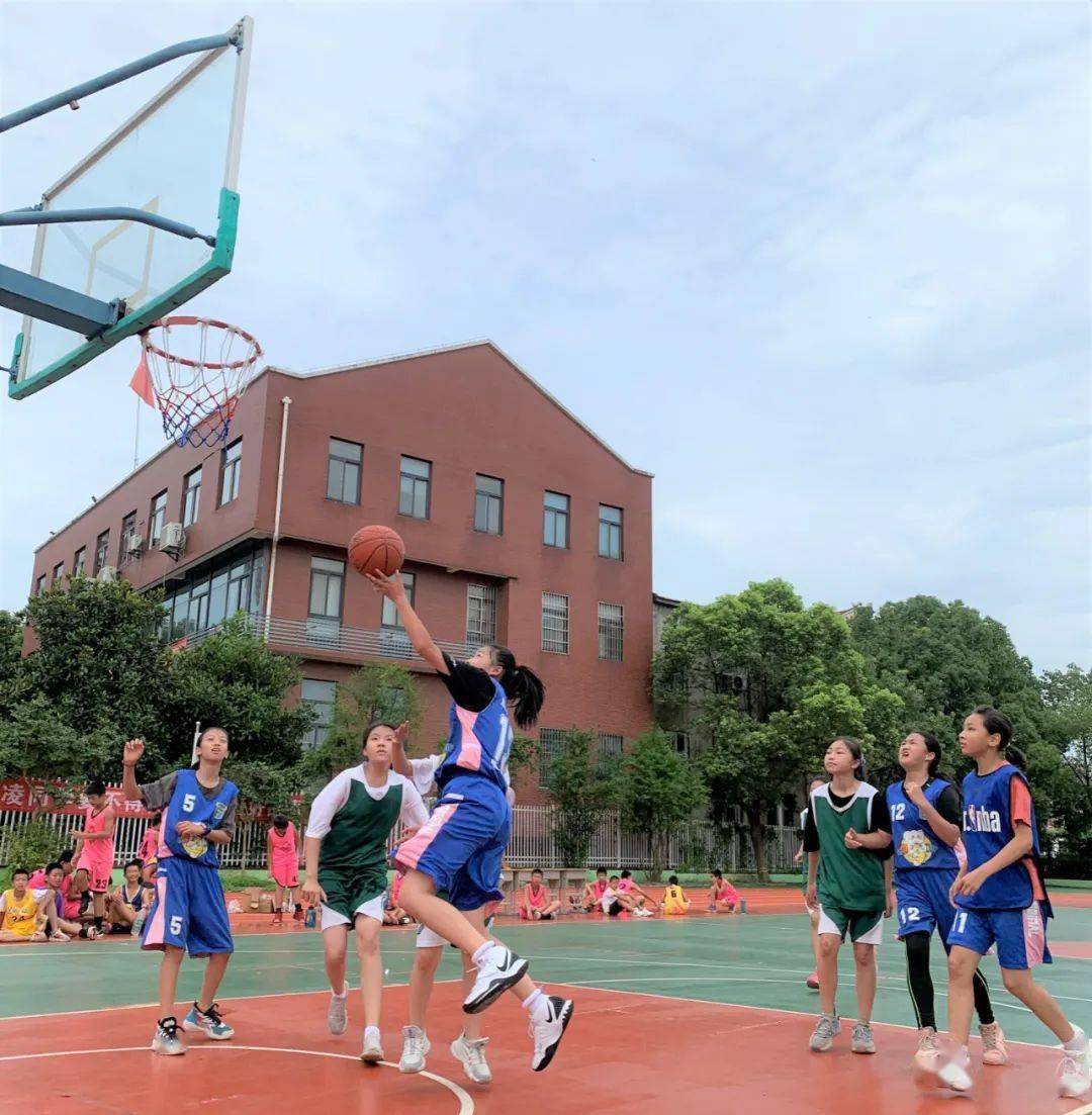 小孩打篮球比赛视频_小孩篮球明星_打篮球的小孩冠军